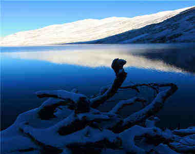 ར་དེ་ཁྱི་རེད་དམ།