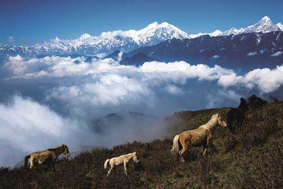 ཕྱུགས་ནད་ས་སྐྱོན་གྱི་ནད་འབུ་འཚོལ་བ་དང་འགོག་ཐབས།