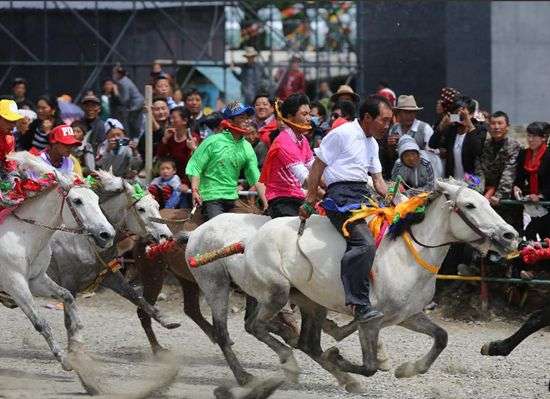 སྤྱི་ལོ་2014ལོའི་བོད་ལྗོངས་རྒྱལ་རྩེ་མདའ་དམག་རིག་གནས་ཡུལ་སྐོར་དུས་ཆེན་བསྡུས།