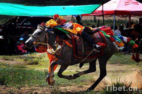 ༄༅། །འོང་སྐོར་དུས་ཆེན་གྱི་རྟ་རྒྱུག་འགྲན་བསྡུར་དུས་ཆེན།