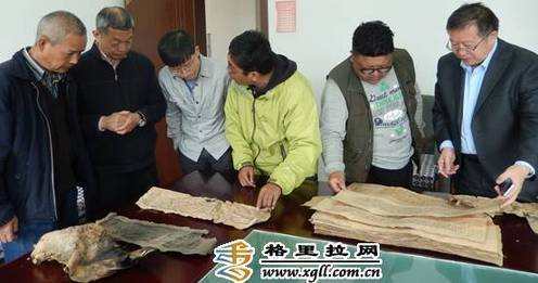 བོད་ཡིག་གནའ་དཔེ་སླར་གསོ་ལག་རྩལ་གསོ་སྦྱོང་འཛིན་གྲྭ་བདེ་ཆེན་ཁུལ་དུ་བཙུགས།