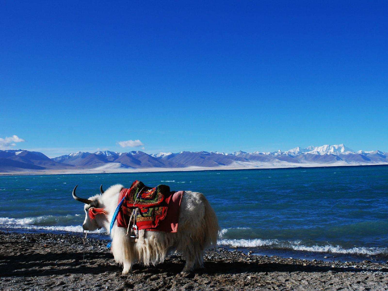 ༄༅། །གབ་ཚིག