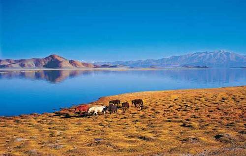 ༄༅། །མ་ཕམ་གཡུ་མཚོ།