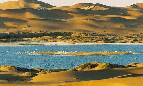 ནང་སོག་གི་བྱེ་ཐང་ཁྲོད་ནས་སྤུས་ལེགས་ཀྱི་གཏེར་ཆུ་གསར་རྙེད་བྱུང་།