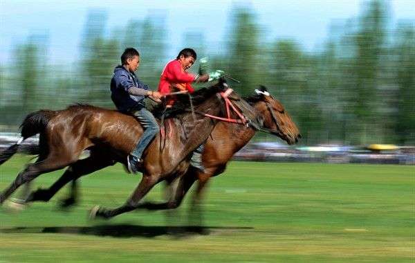 ༄༅། །བོད་ཀྱི་རིག་གཞུང་དང་རྟ་རྒྱུགས་རྩེད་མོ།