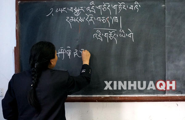 མཚོ་སྔོན་དུ་རྒྱལ་ཁབ་རིམ་པའི་སྐད་གཉིས་གསོ་སྦྱོང་རྟེན་གཞི་བཙུགས།