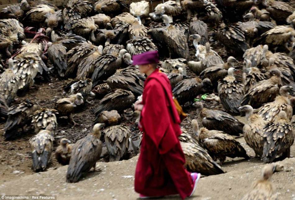 ༄༅། །བོད་རིགས་ཀྱི་སྤུར་སྦྱོང་ལས་བྱ་གཏོར་གྱི་ཡུལ་སྲོལ་སྐོར་གླེང་བ།
