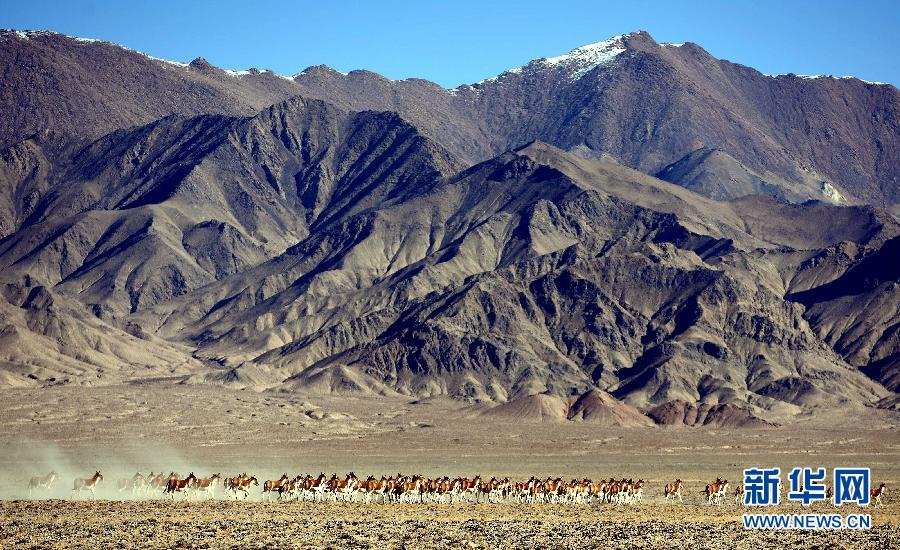 ཨར་ཅིན་རི་བོའི་རྒྱལ་ཁབ་རིམ་པའི་རང་བྱུང་སྲུང་སྐྱོབ་ཁུལ་དུ་བསྐྱོད་པ།