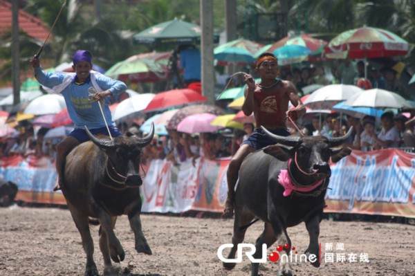 ཐེ་ལན་དི་རྒྱལ་ཁབ་ཏུ་སྲོལ་རྒྱུན་གྱི་ཆུ་གླང་རྒྱུག་རྩལ་འགྲན་བསྡུར་སྤེལ།