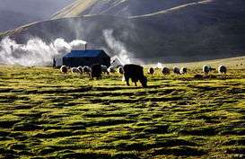 སེར་ཤུལ་རྫོང་གིས་གནད་སྨིན་དབུལ་སྐྱོར་ཤེས་བྱའི་སྐོར་གྱི་ཡིག་རྒྱུགས་བླངས།