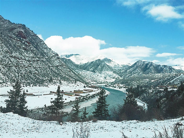 ཆབ་མདོ་གྲོང་ཁྱེར་གྱིས་སྡོང་འཛུགས་ནགས་བསྐྲུན་བྱས་ཏེ་ནགས་ཚལ་ཁེབས་ཚད་38.63%ལ་ཟིན།