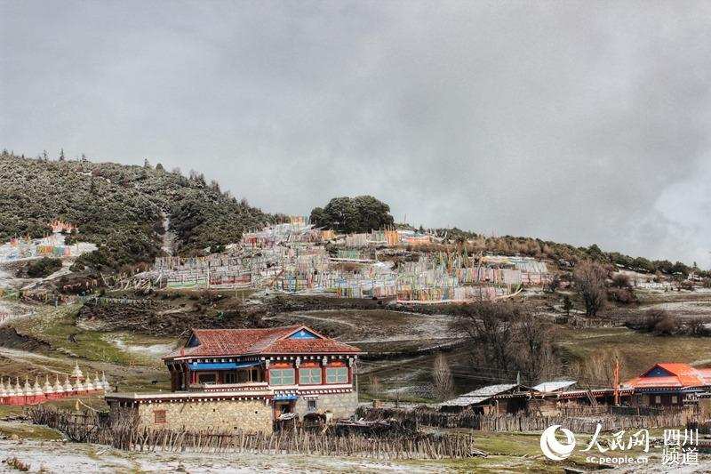 དཔྱིད་ཟླ་བཞི་བའི་དཀར་མཛེས།