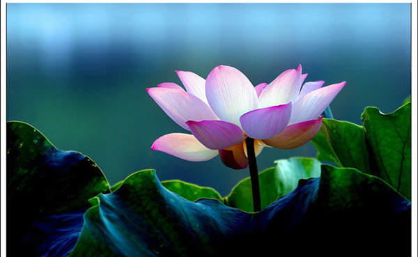 ༄༅།། བཟང་པོ་སྤྱོད་པའི་སྨོན་ལམ་གྱི་ཐོག་མའི་བྱུང་རིམ་ལ་དཔྱད་པ།