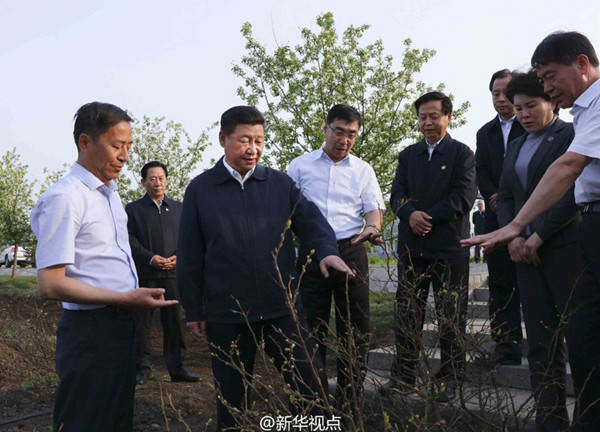 ཞི་ཅིན་ཕིང་ཧེ་ལུང་ཅང་དུ་ཕེབས་ཏེ་རྟོག་ཞིབ་གནང་།