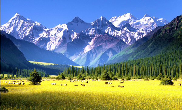 ༄༅།།རིགས་རུས་ལས་འཕྲོས་པའི་གཏམ་འཇིག་རྟེན་རྒན་པོའི་ཁ་རྒྱན་ཞེས་བྱ་བ།