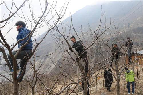 ཝུན་ཁྲོན་དུ་ཞིང་ལས་ལག་རྩལ་གོང་འཕེལ་དུ་བཏང་ནས་གནད་སྨིན་དབུལ་སྐྱོར་ལ་རོགས་འདེགས་བྱེད་པའི་ལས་ཀ་སྤེལ། 
