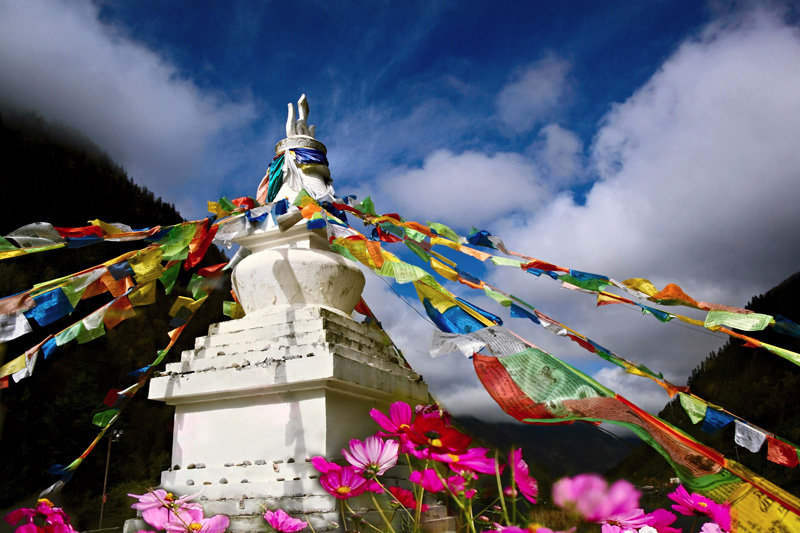 ༄༅།། གཅོད་ལུགས།