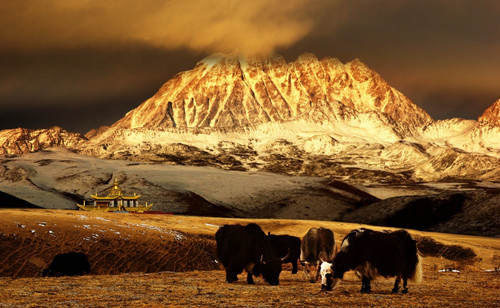 ༄༅།། བོད་སིལ་བུའི་དུས་ཀྱི་ལོ་ཙཱའི་སྐོར་རགས་ཙམ་གླེང་བ།