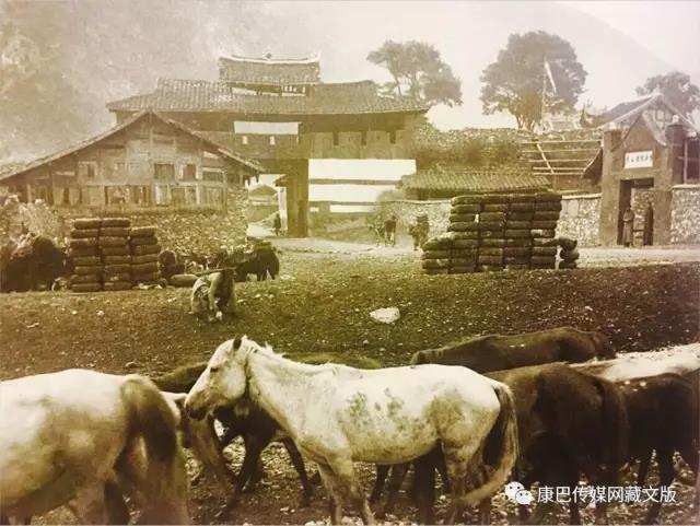 ༄༅།། ཇ་ནག་འུག་དང་དར་མདོ།
