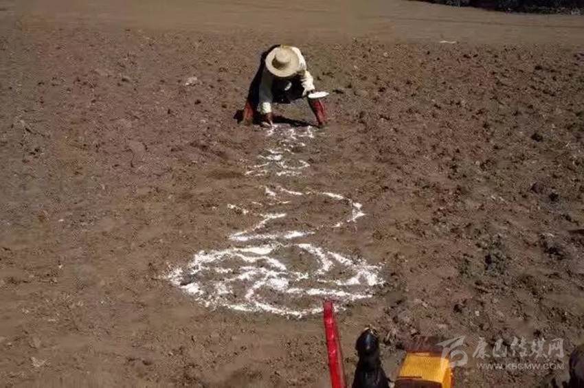 རྒྱལ་རོང་བོད་མིའི་དཔྱིད་རྨོ་འདེབས་ཀྱི་ཆོ་ག