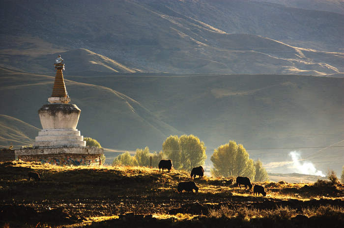 ༄༅།།རྦ་བཞེད་ནི་དབུས་པ་བློ་གསལ་གྱིས་བརྩམས་པ་ཡིན་མིན་ཐད་ཀྱི་དོགས་སློང་།