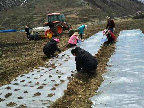 ཉག་ཆུ་རྫོང་གིས་སྣ་མང་ཅན་གྱི་འདེབས་འཛུགས་བྱེད་སྟངས་ཁྱབ་གདལ་དུ་བཏང་།