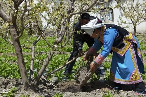 ས་ཞིང་སྤྱོད་མཁས་ཞེས་པ་ཕྱུག་སྒྱུར་མན་ངག་ཡིན།