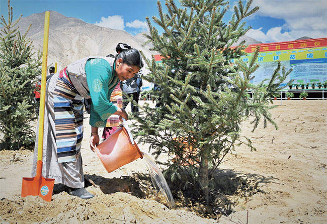 ཡར་ཀླུང་གཙང་པོའི་རྒྱུད་ཀྱི་བྱེ་འགོག་བྱེ་བཅོས་ཀྱི་སྣོད་བཅུད་དབུལ་སྐྱོར་རྣམ་གྲངས་སྤེལ་འགོ་ཚུགས་པ། 