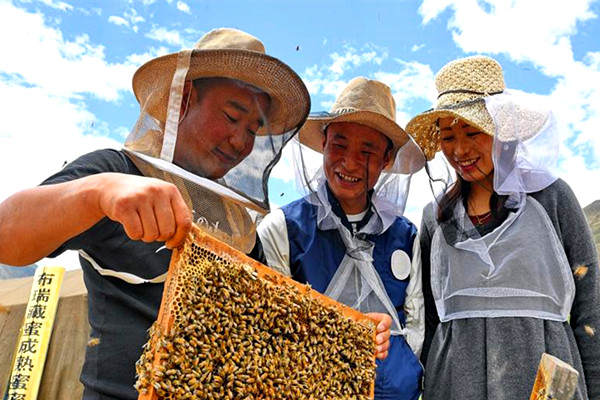 སྦྲང་མ་གསོ་སྐྱོང་ལ་བརྟེན་ནས་ཕྱུག་པོའི་ལམ་དུ་བསྐྱོད་པ།