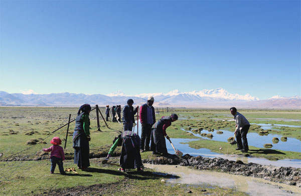 ཇོ་མོ་གླང་མའི་འདབས་ཀྱི་ལྗང་མདོག་སྲུང་མཁན།