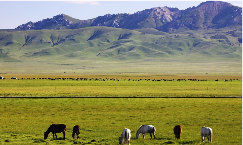 མཛོད་དགེ་རྩྭ་ཐང་གི་མཛེས་ཉམས།
