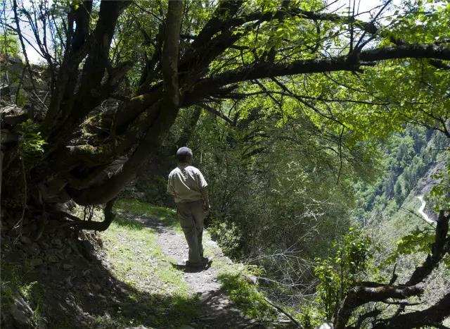 དབུལ་སྒྲོལ་ལམ་དུ་ང་ནི་ཁེར་རྐྱང་མིན།