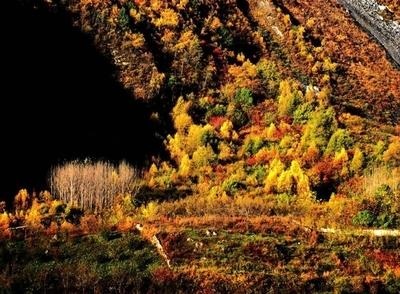 རྔ་བ་ཁུལ་གྱི་ཆེས་ཐོག་མའི་ཞིང་བའི་དཔེ་ཁང་མའོ་རྫོང་དུ་བཙུགས་པ། 