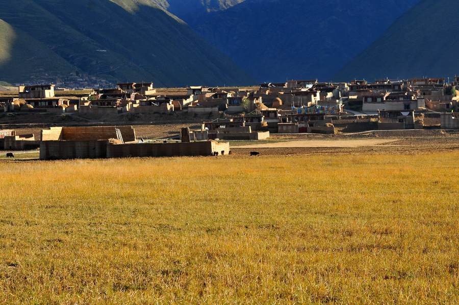 དཀར་མཛེས་རྫོང་གི་དབུལ་ཕོངས་འབུམ་རམས་པར་གཅེས་སེམས་ལྡན་པའི་ཁེ་ལས་རོགས་སྐྱོར་ཐོབ།