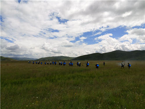 ཁྱུང་མཆུ་རྫོང་དུ་རྩྭ་སའི་གནོད་འབུ་འགོག་བཅོས་བྱེད་པའི་ལས་ཀ་སྤེལ་བ། 