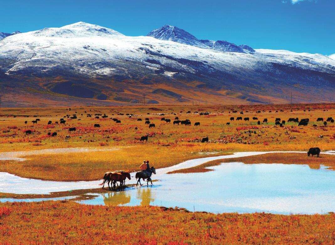 རང་ཁུལ་གྱི་ཁོར་ཡུག་སྲུང་སྐྱོང་གི་ལྟ་ཞིབ་གནད་དོན་དག་བཅོས་བྱས་ནས་ཕན་འབྲས་མངོན་གསལ་ཐོབ་ཡོད།