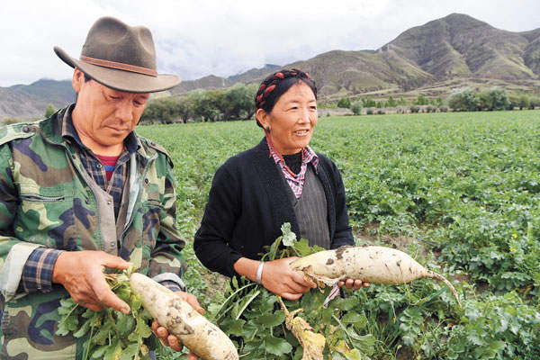 དེང་རབས་ཅན་གྱི་ཞིང་ལས་འཕེལ་རྒྱས་བཏང་སྟེ་ལ་ཕུག་གྲོང་རྡལ་གཏོད་པ།
