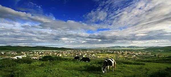 སྔོ་ལྗང་གི་ཁྱིམ་གཞིས་སྐྱོང་བ།