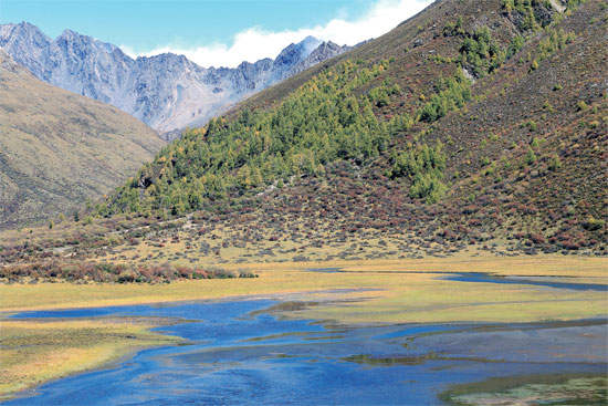 སྐུ་བླ་རི་བོའི་སྟོན་ཉམས། 