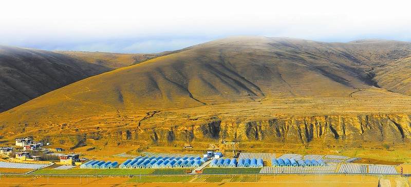 ཆེས་ཡོང་འབབ་ཡག་པོ་ནི་སློབ་ཁང་ནང་ལ་ཡོད།