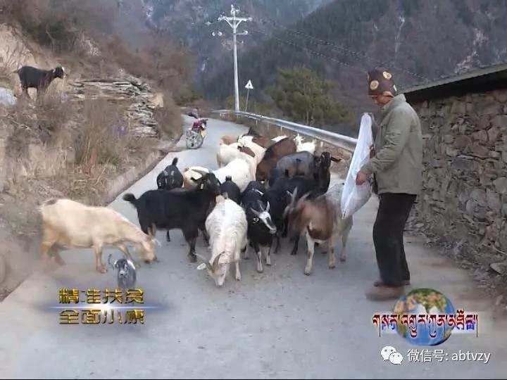  ཁྲོ་ཆུ་རྫོང་ངོ་བཀའ་སྡེ་བ་དབུལ་ཕོངས་ནས་སྒྲོལ་བར་ཇུས་གཞི་བཀོད་པ།