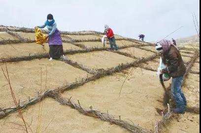 མཛོད་དགེ་རྫོང་གི་རྩྭ་ཐང་བྱེ་འགྱུར་འགོག་བཅོས་ཀྱི་མཐོང་ཐོས།