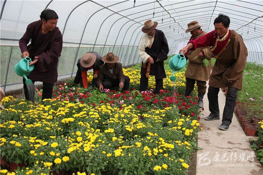 སྡེ་དགེ་རྫོང་གིས་ཆེས་མཛེས་པའི་གནས་སྤོ་སྡེ་གསར་བསྐྲུན་པ།