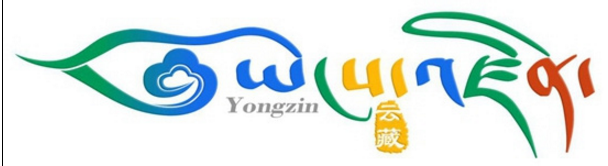 བོད་ཡིག་འཚོལ་བཤེར་མ་ལག་ཐོག་མ"ཡོངས་འཛིན"ལ་སྔ་ཕྱིའི་སྡེབ་རྩིས་ཀློག་ཐེངས་དུང་ཕྱུར་4ལས་བརྒལ་བ།