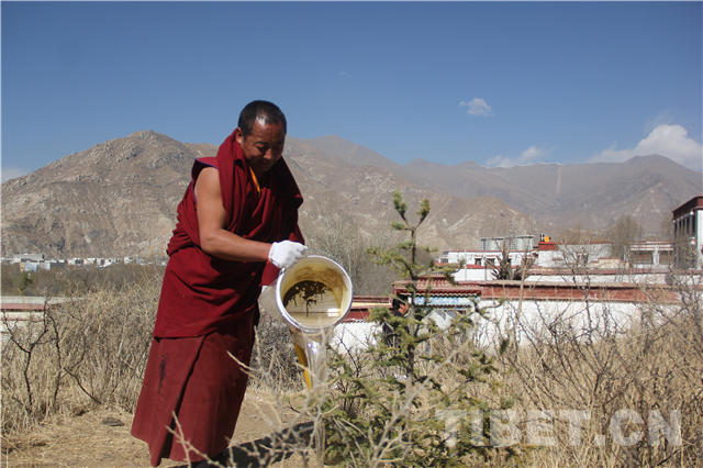 བོད་ལྗོངས་སེ་ར་དགོན་པས་མི་རིགས་མཐུན་སྒྲིལ་གྱི་ཤིང་སྡོང་བཙུགས་ནས་མཛེས་སྡུག་ལྡན་པའི་འཚོ་བ་མཉམ་གླེང་བྱས།
