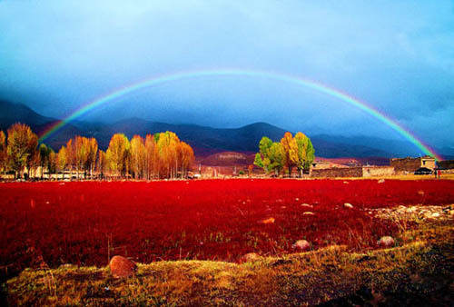 ༄༅།། བོད་ཀྱི་ལོ་རྒྱུས་སྟེང་གི་ལྡོང་མི་ཉག་དང་མི་ཉག་རྒྱལ་ཁམས་ཀྱི་སྐོར་ལ་དཔྱད་པ།
