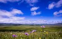 ཞིང་བའི་ཡོང་འབབ་ཇེ་ལེགས་སུ་གྱུར་བ།
