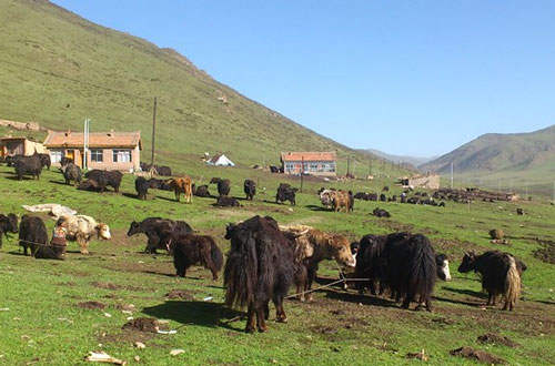 ༄༅།། ཨ་རིག་ཚོ་བའི་བྱུང་ཚུལ་སྐོར་ལ་རགས་ཙམ་དཔྱད་པ།