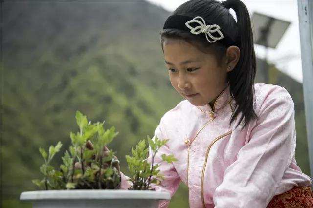 ཝུན་ཁྲོན་ས་འགུལ་ཉིན་བཙས་བའི་མེ་ཏོག་ཆུང་ཆུང་ཞིག