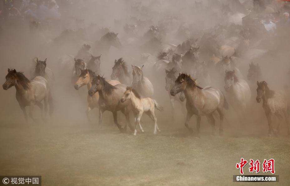 འཇར་མན་དུ་རྟ་རྒོད་འགྲེམ་སྟོན་གྱི་བྱེད་སྒོ་སྤེལ། 